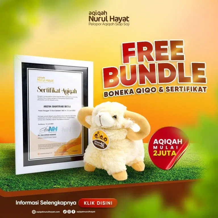Free Bundle: Boneka Qiqo & Sertifikat